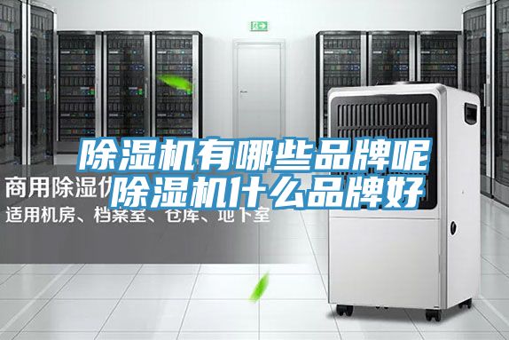 猫咪成人官网有哪些品牌呢 猫咪成人官网什么品牌好