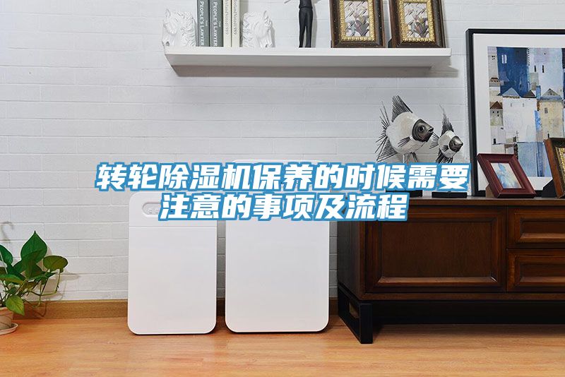 转轮猫咪成人官网保养的时候需要注意的事项及流程