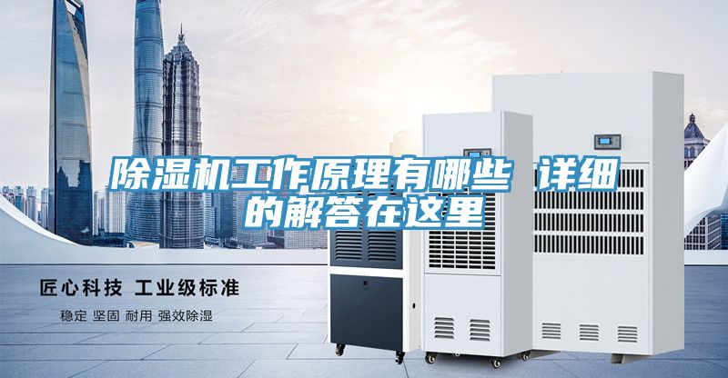 猫咪成人官网工作原理有哪些 详细的解答在这里