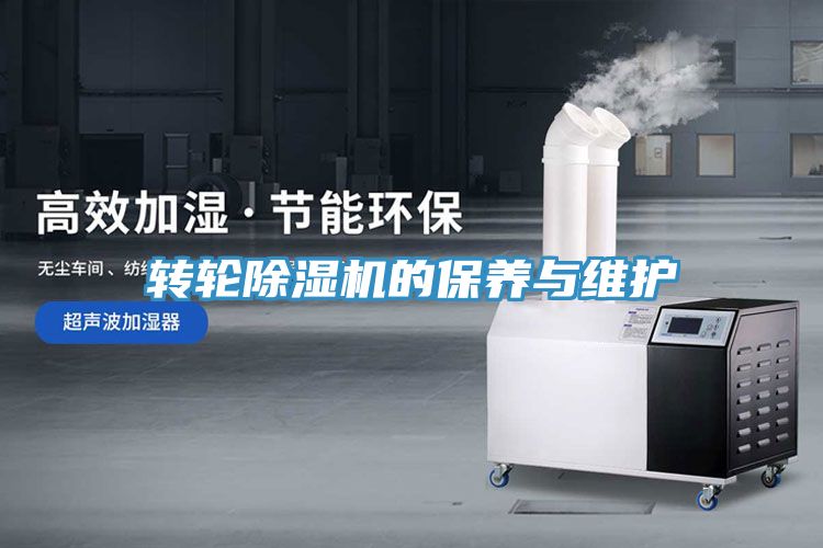 转轮猫咪成人官网的保养与维护