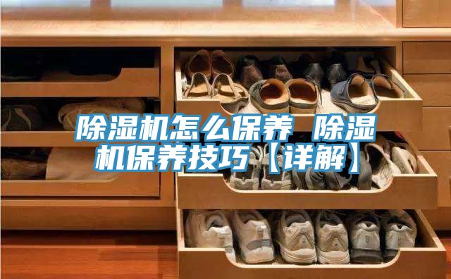 猫咪成人官网怎么保养 猫咪成人官网保养技巧【详解】