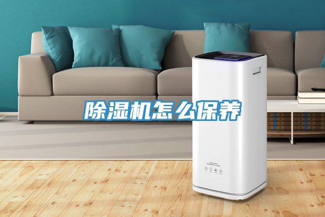 猫咪成人官网怎么保养