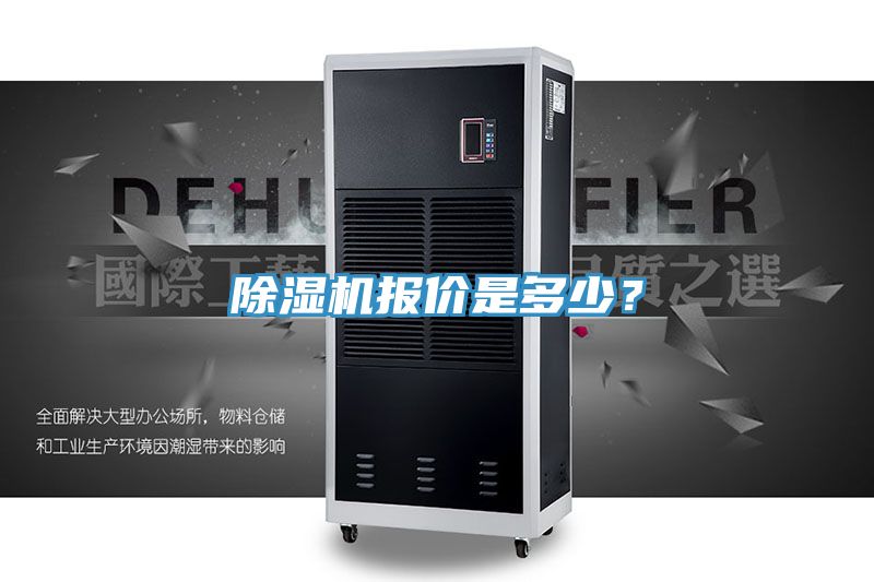 猫咪成人官网报价是多少？