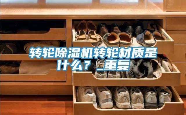 转轮猫咪成人官网转轮材质是什么？_重复