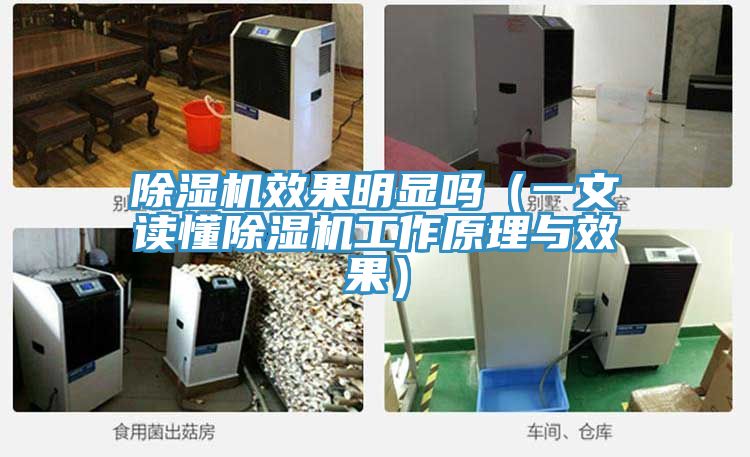 猫咪成人官网效果明显吗（一文读懂猫咪成人官网工作原理与效果）