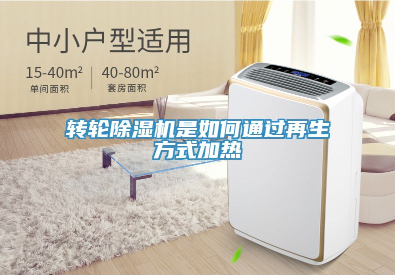 转轮猫咪成人官网是如何通过再生方式加热