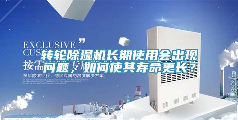 转轮猫咪成人官网长期使用会出现问题，如何使其寿命更长？