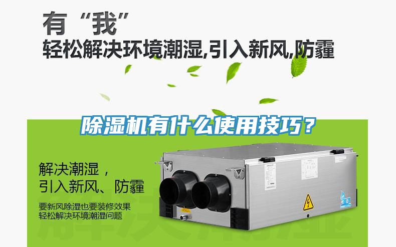 猫咪成人官网有什么使用技巧？