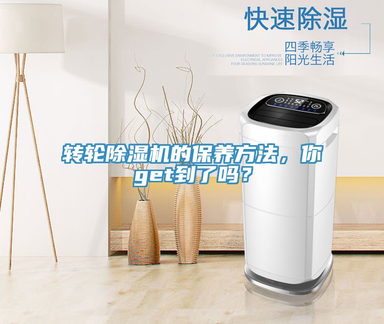 转轮猫咪成人官网的保养方法，你get到了吗？