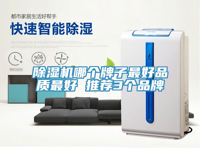 猫咪成人官网哪个牌子最好品质最好 推荐3个品牌