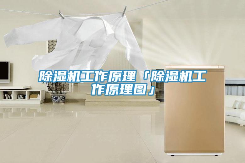 猫咪成人官网工作原理「猫咪成人官网工作原理图」