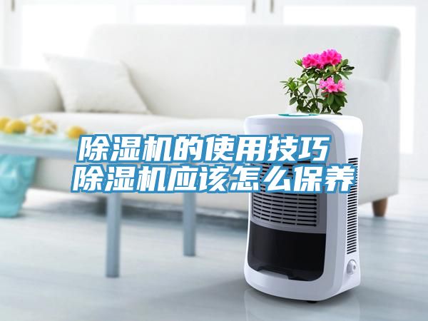 猫咪成人官网的使用技巧 猫咪成人官网应该怎么保养
