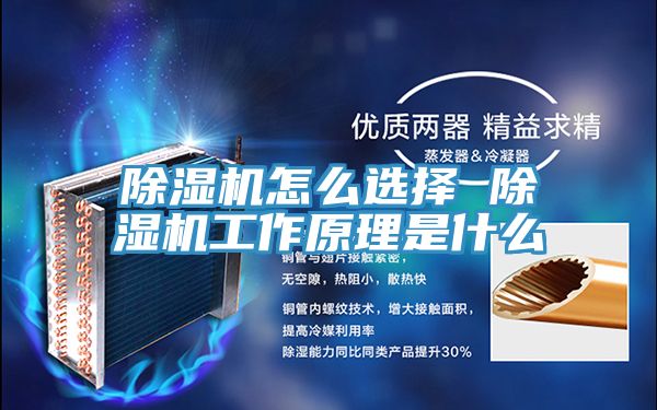 猫咪成人官网怎么选择 猫咪成人官网工作原理是什么