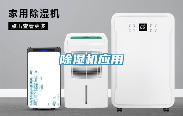 猫咪成人官网应用