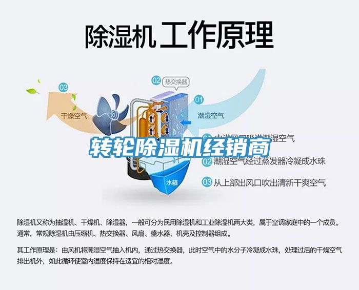 转轮猫咪成人官网经销商