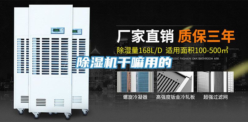 猫咪成人官网干嘛用的