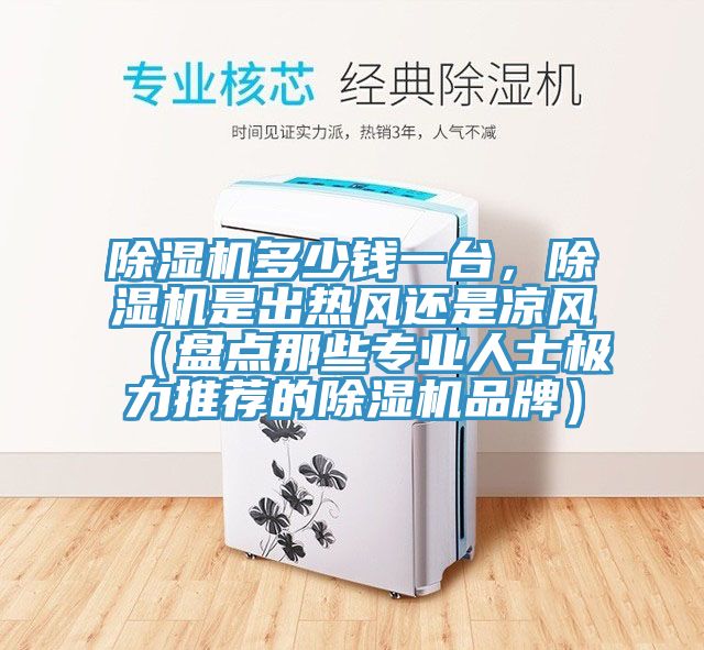 猫咪成人官网多少钱一台，猫咪成人官网是出热风还是凉风（盘点那些专业人士极力推荐的猫咪成人官网品牌）
