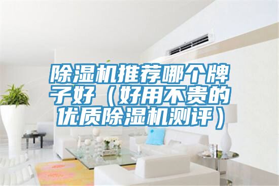 猫咪成人官网推荐哪个牌子好（好用不贵的优质猫咪成人官网测评）