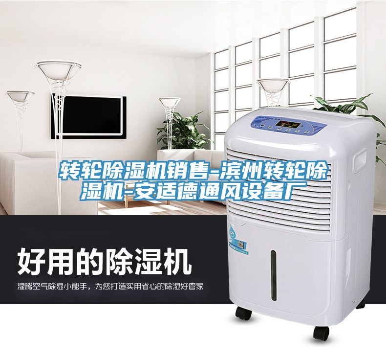 转轮猫咪成人官网销售-滨州转轮猫咪成人官网-安适德通风设备厂
