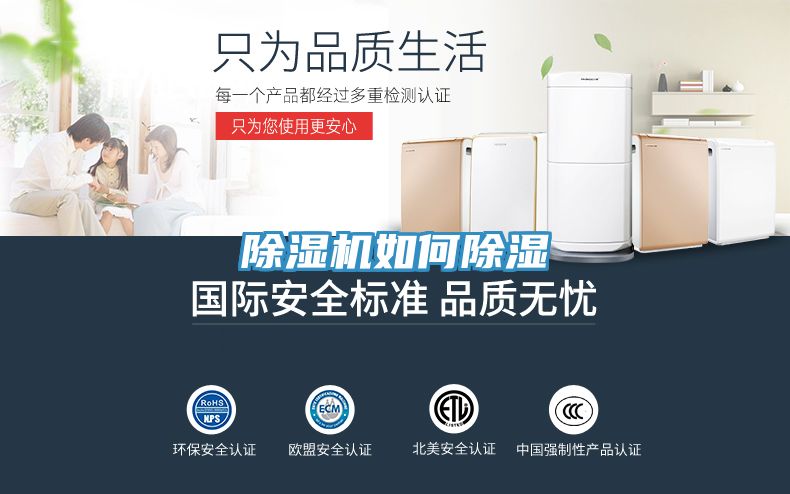 猫咪成人官网如何除湿