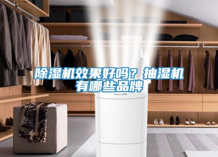 猫咪成人官网效果好吗？抽湿机有哪些品牌