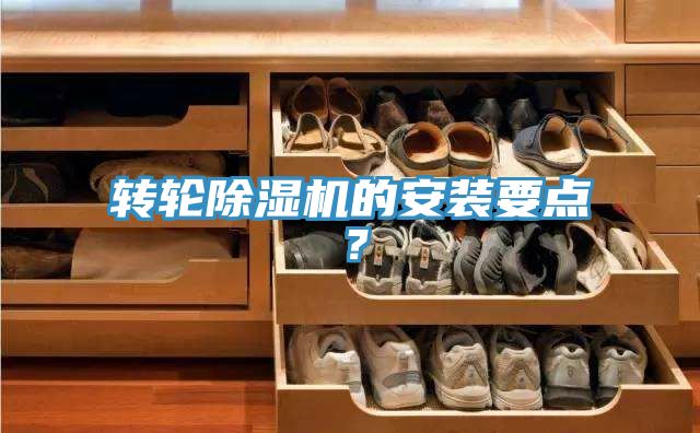 转轮猫咪成人官网的安装要点？
