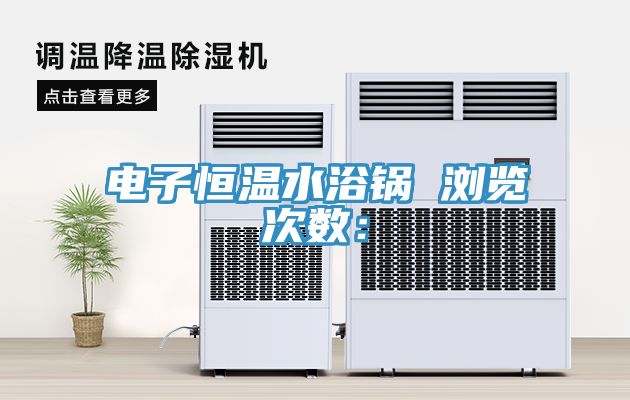 电子恒温水浴锅　　浏览次数：