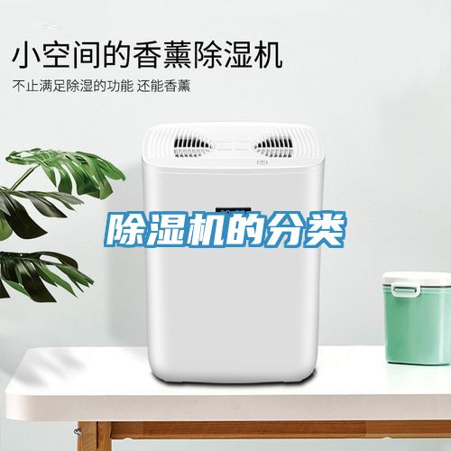猫咪成人官网的分类