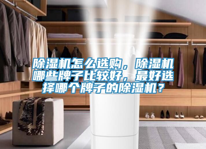 猫咪成人官网怎么选购，猫咪成人官网哪些牌子比较好，最好选择哪个牌子的猫咪成人官网？