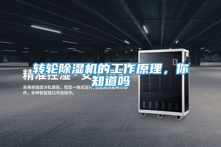 转轮猫咪成人官网的工作原理，你知道吗