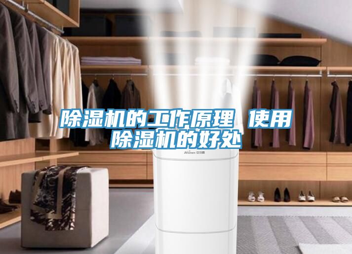 猫咪成人官网的工作原理 使用猫咪成人官网的好处