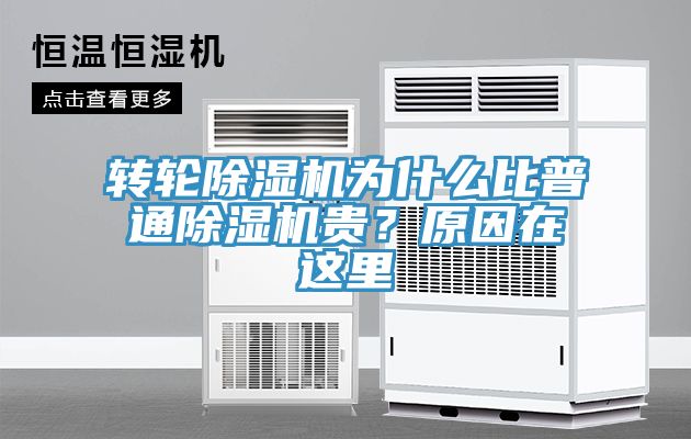 转轮猫咪成人官网为什么比普通猫咪成人官网贵？原因在这里
