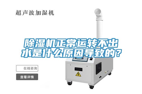 猫咪成人官网正常运转不出水是什么原因导致的？