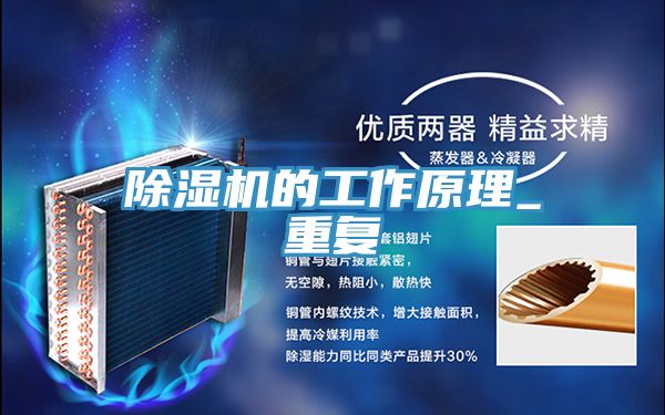 猫咪成人官网的工作原理_重复