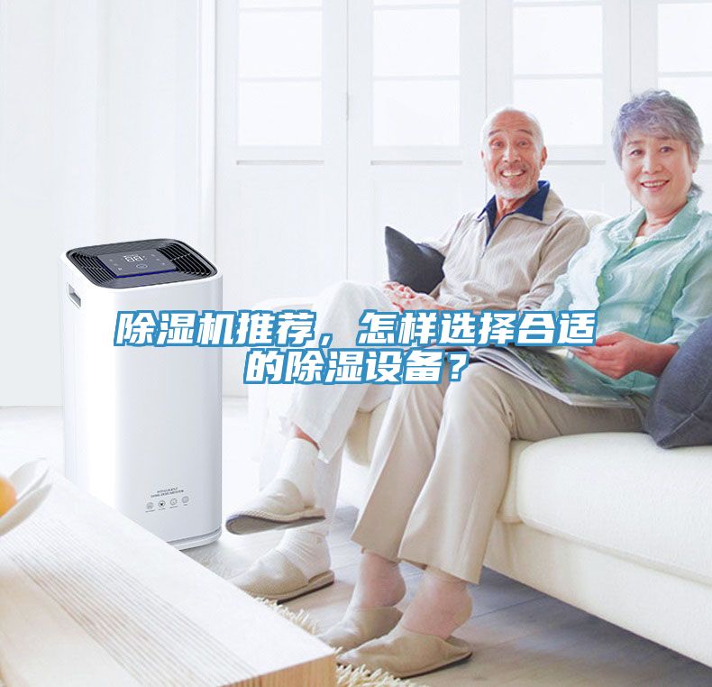 猫咪成人官网推荐，怎样选择合适的除湿设备？