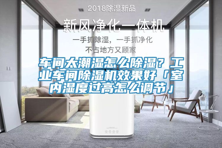 车间太潮湿怎么除湿？工业车间猫咪成人官网效果好「室内湿度过高怎么调节」