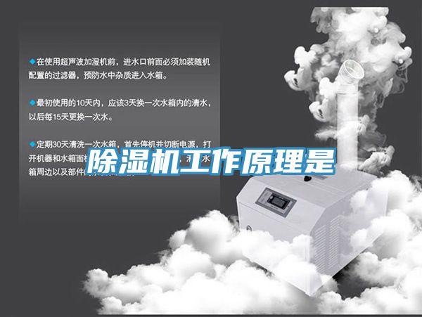 猫咪成人官网工作原理是