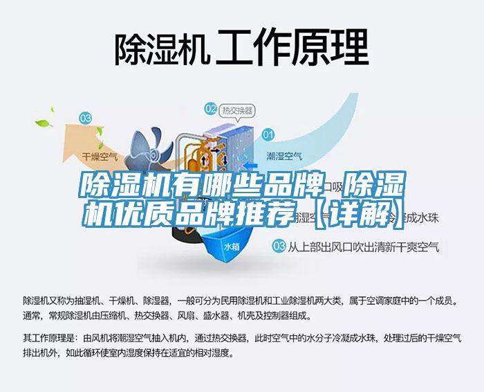 猫咪成人官网有哪些品牌 猫咪成人官网优质品牌推荐【详解】