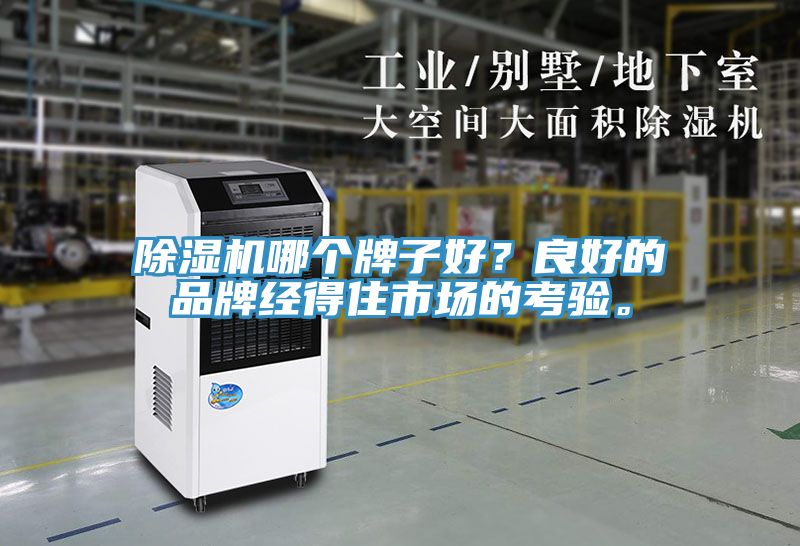 猫咪成人官网哪个牌子好？良好的品牌经得住市场的考验。