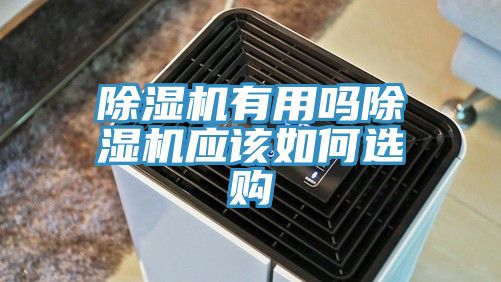 猫咪成人官网有用吗猫咪成人官网应该如何选购