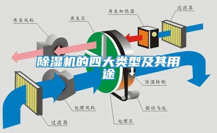 猫咪成人官网的四大类型及其用途