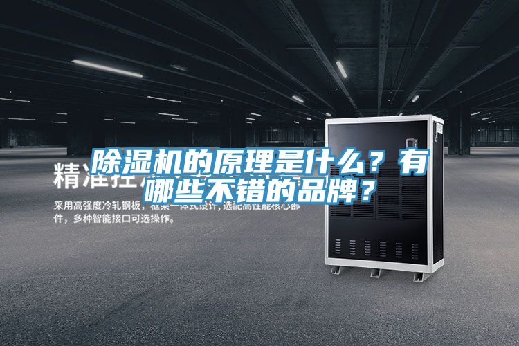 猫咪成人官网的原理是什么？有哪些不错的品牌？