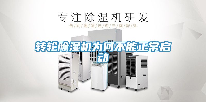 转轮猫咪成人官网为何不能正常启动