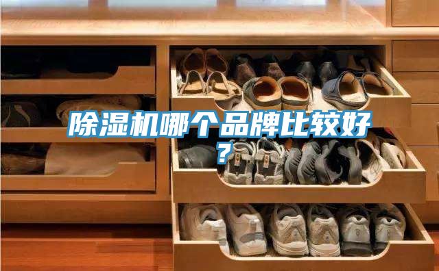 猫咪成人官网哪个品牌比较好？