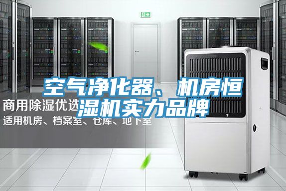 空气净化器、机房恒湿机实力品牌