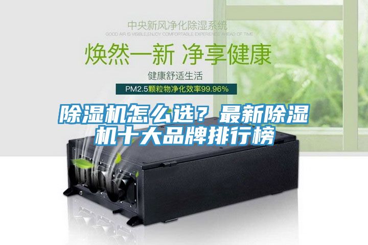 猫咪成人官网怎么选？最新猫咪成人官网十大品牌排行榜