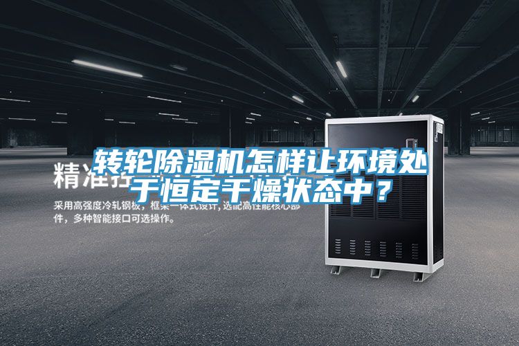 转轮猫咪成人官网怎样让环境处于恒定干燥状态中？