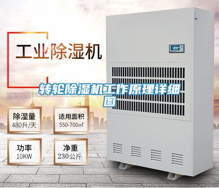 转轮猫咪成人官网工作原理详细图