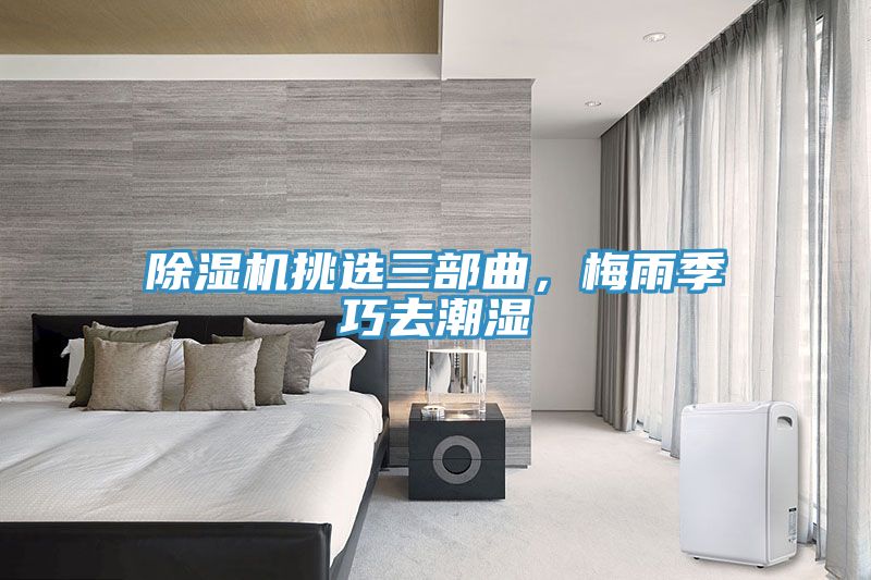 猫咪成人官网挑选三部曲，梅雨季巧去潮湿