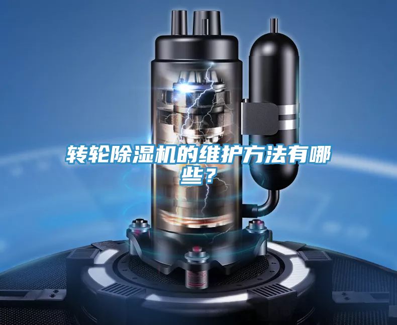 转轮猫咪成人官网的维护方法有哪些？
